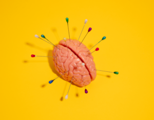 The Benefits of Nootropics: Enhancing Your Cognitive Performance Naturally